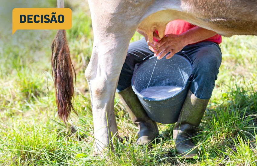 TJPR decide que venda de animais leiteiros não pode ser desfeita